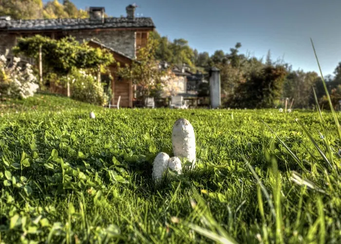 Maison Perriere - D'hotes & Jacuzzi Bed and Breakfast