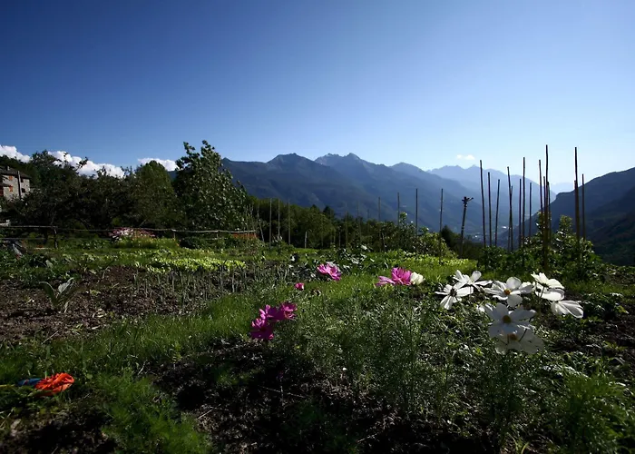 Maison Perriere - D'hotes & Jacuzzi