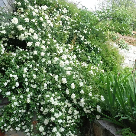 Maison Perriere - D'hotes & Jacuzzi 3* Ferriere