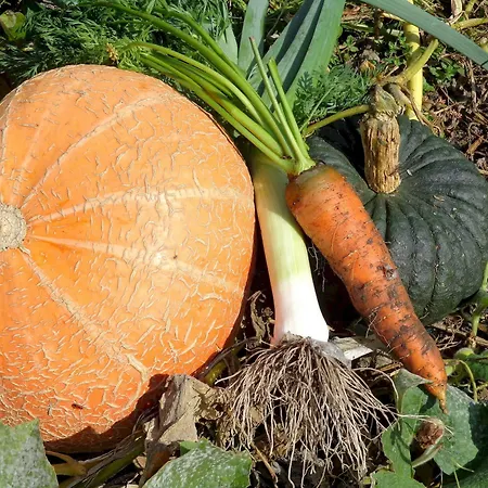 فندق مبيت وإفطار Maison Perriere - D'hotes & Jacuzzi