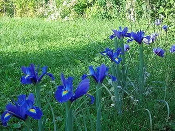 לינה וארוחת בוקר Maison Perriere - D'hotes & Jacuzzi 3*