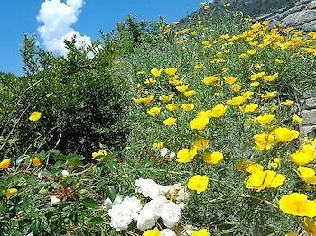 Maison Perriere - D'hôtes&jacuzzi Ferriere