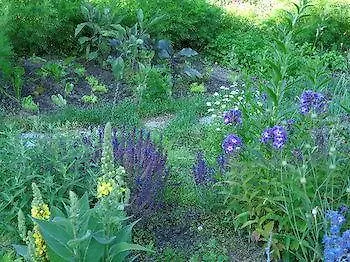 Maison Perriere - D'hotes & Jacuzzi