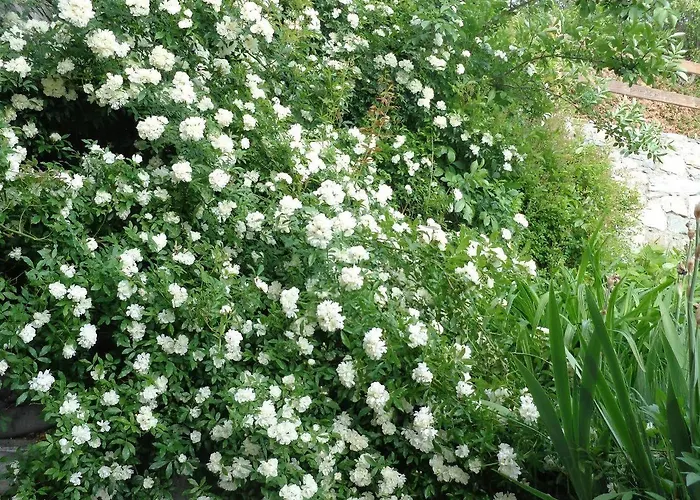 Maison Perriere - D'hotes & Jacuzzi 3* Ferriere