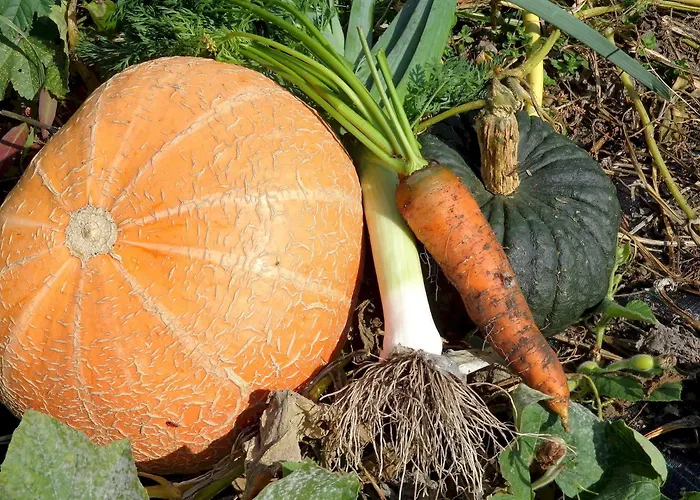 לינה וארוחת בוקר Maison Perriere - D'hotes & Jacuzzi