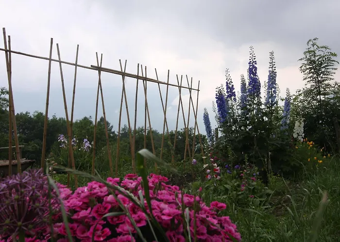 Maison Perriere - D'hotes & Jacuzzi לינה וארוחת בוקר 3*